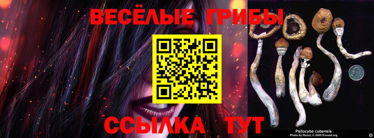 Псилоцибиновые грибы ЛСД  Вход с VPN  купить наркотик  Моршанск 